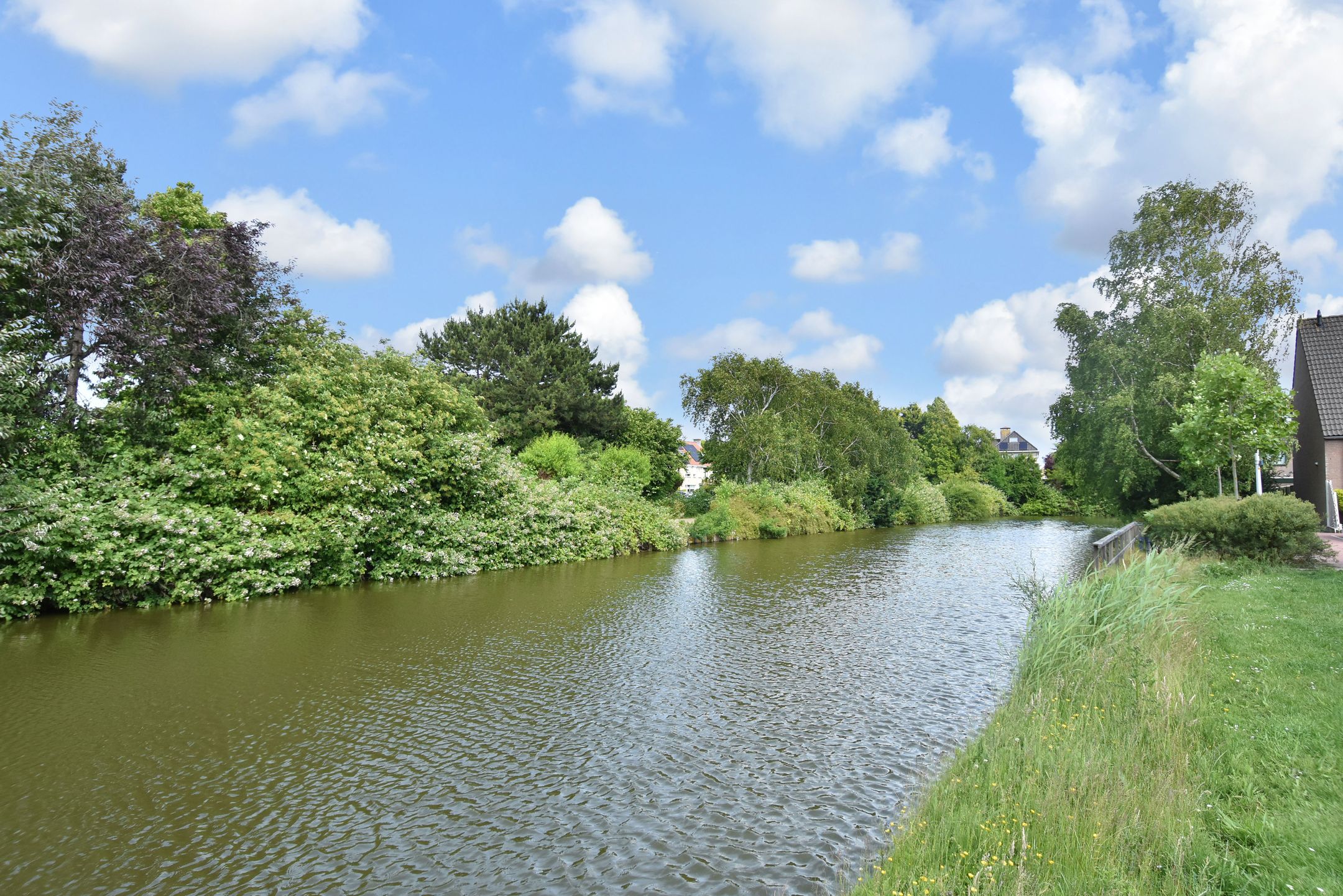 Foto 48 van Grutto 35