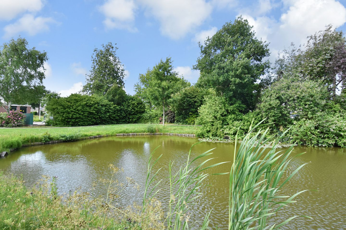 Foto 49 van Grutto 35