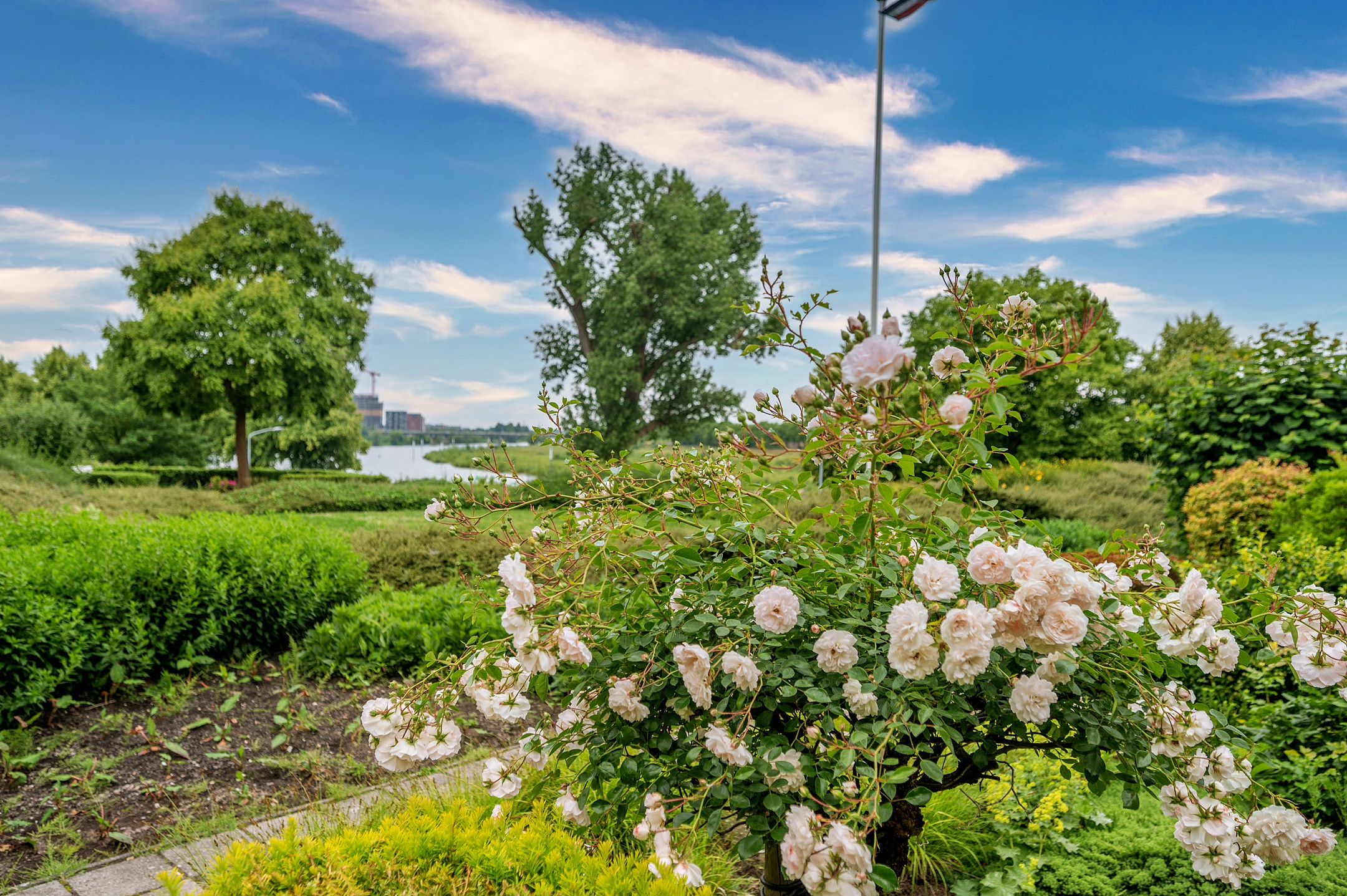 Foto 42 van Doctor Marie Curiestraat 31