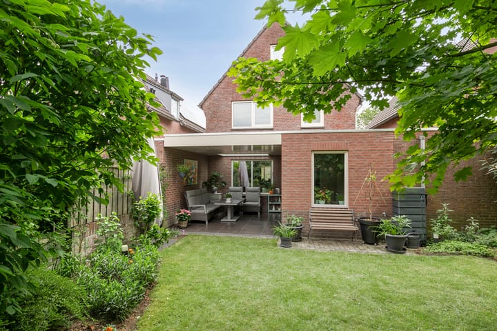 Foto 31 van Distel 7