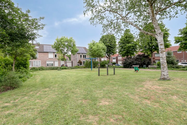 Foto 34 van Distel 7