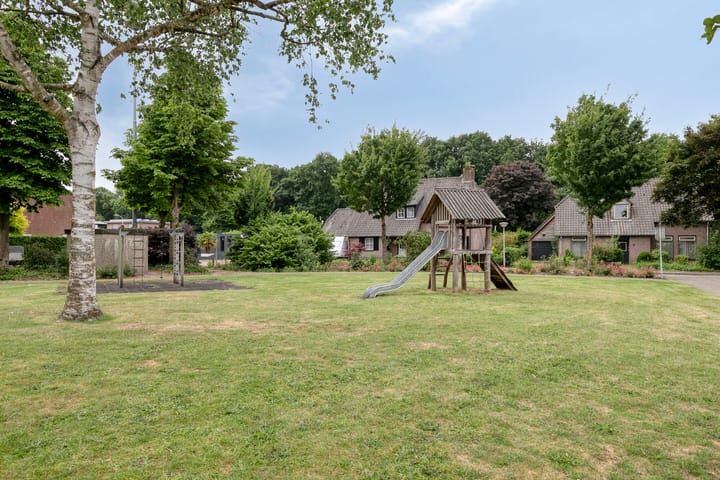 Foto 35 van Distel 7