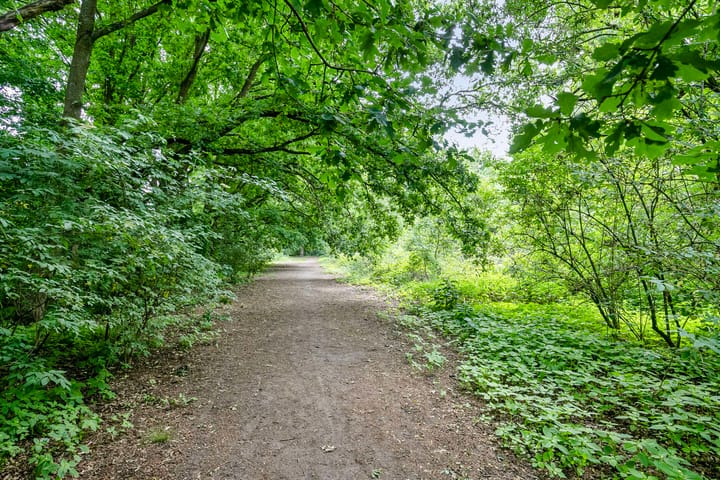 Foto 36 van Distel 7