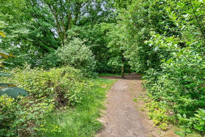 Foto 37 van Distel 7