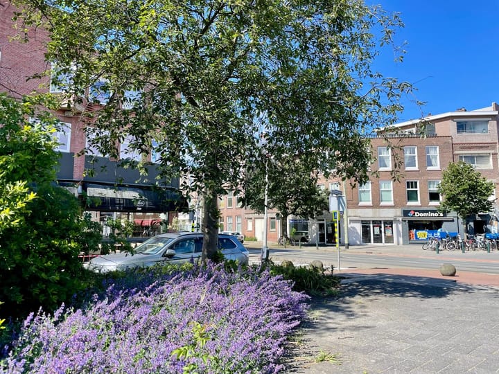 Foto 35 van Asterstraat 69