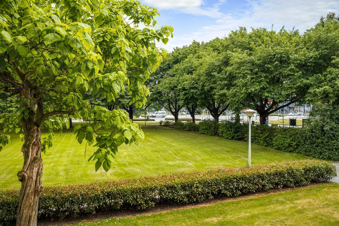 Photo 19 of Veldmaarschalk Montgomerylaan 264