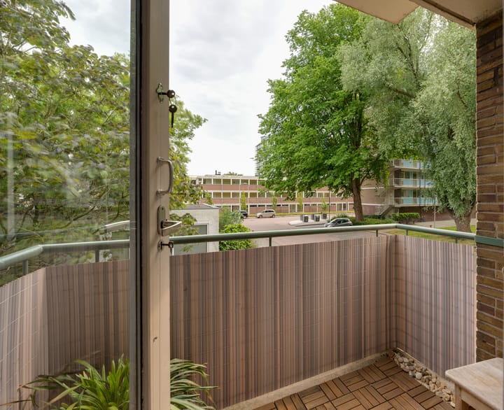 Foto 28 van Eastonstraat 230