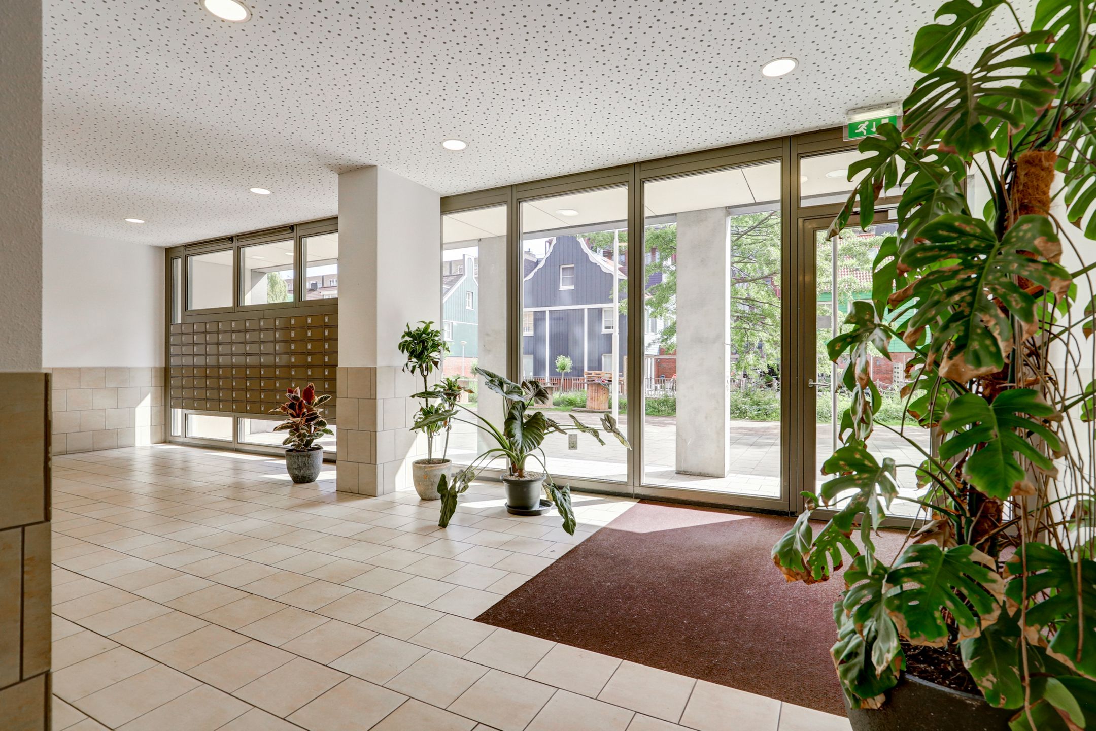 Foto 42 van Teakhout 52