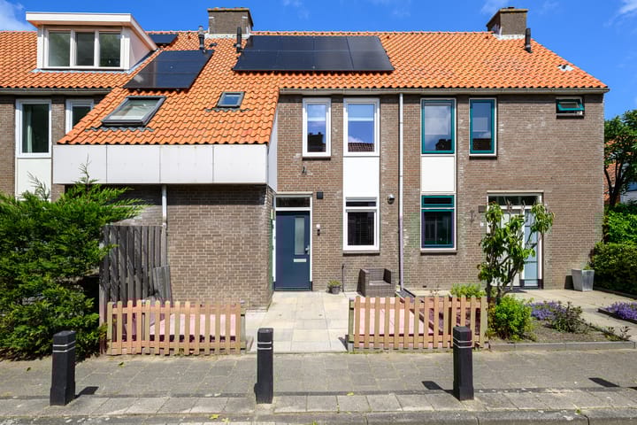 Bekijk foto van Gele Plomp 7
