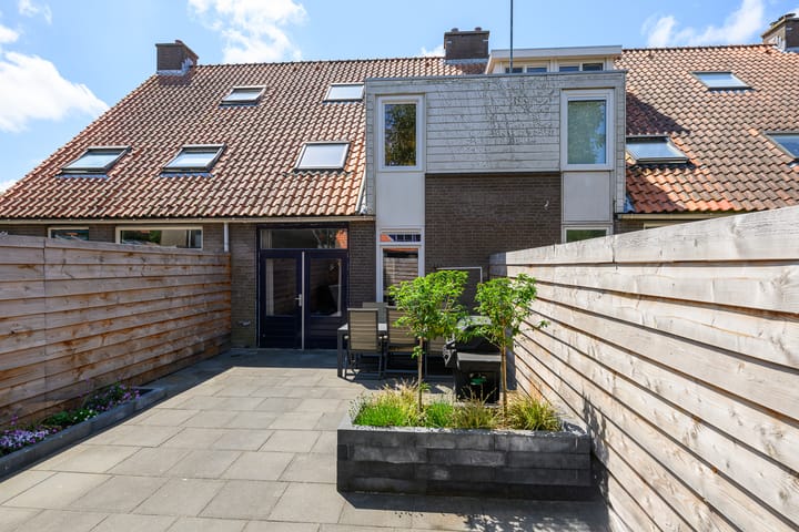 Foto 12 van Gele Plomp 7