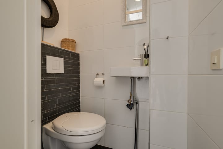 Foto 15 van Gele Plomp 7