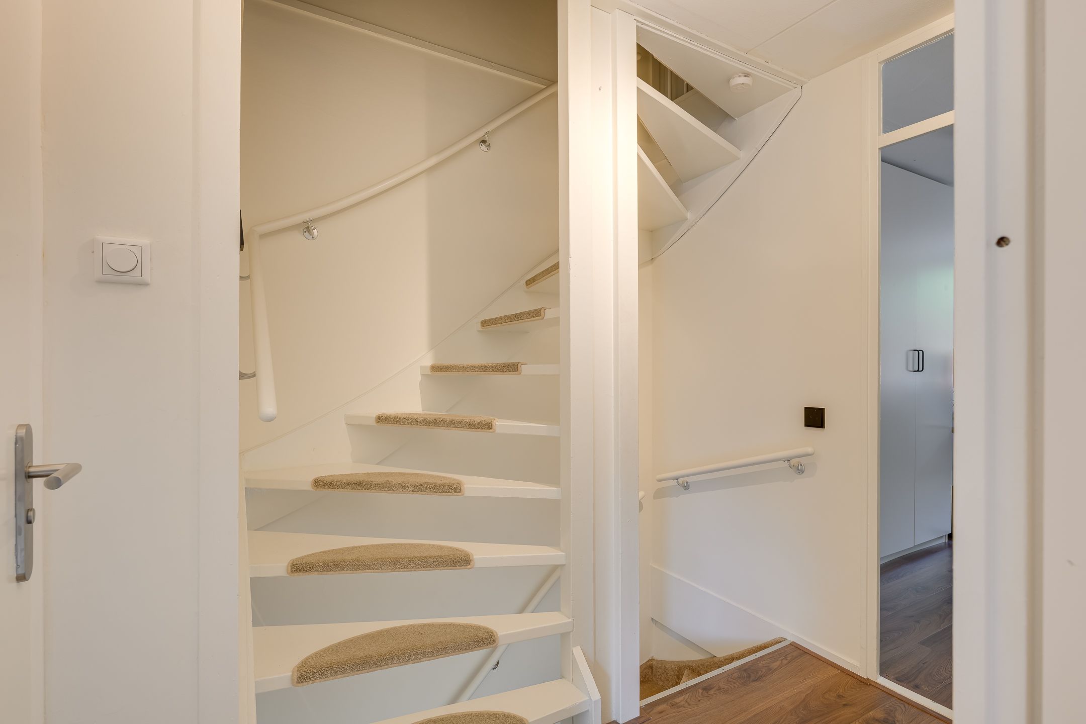 Foto 27 van Gele Plomp 7