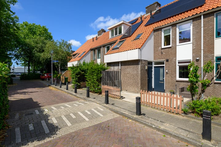 Foto 31 van Gele Plomp 7