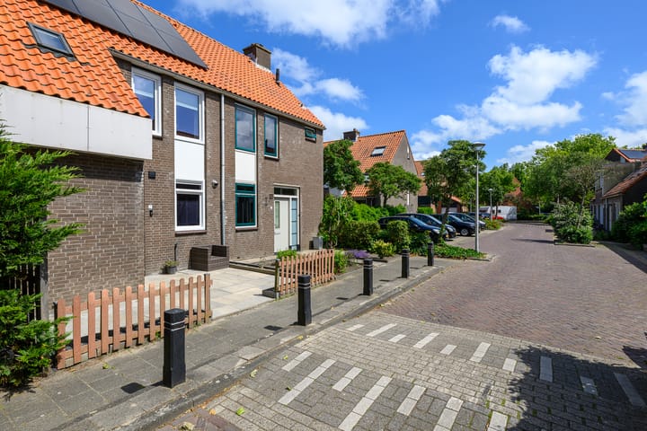 Foto 33 van Gele Plomp 7