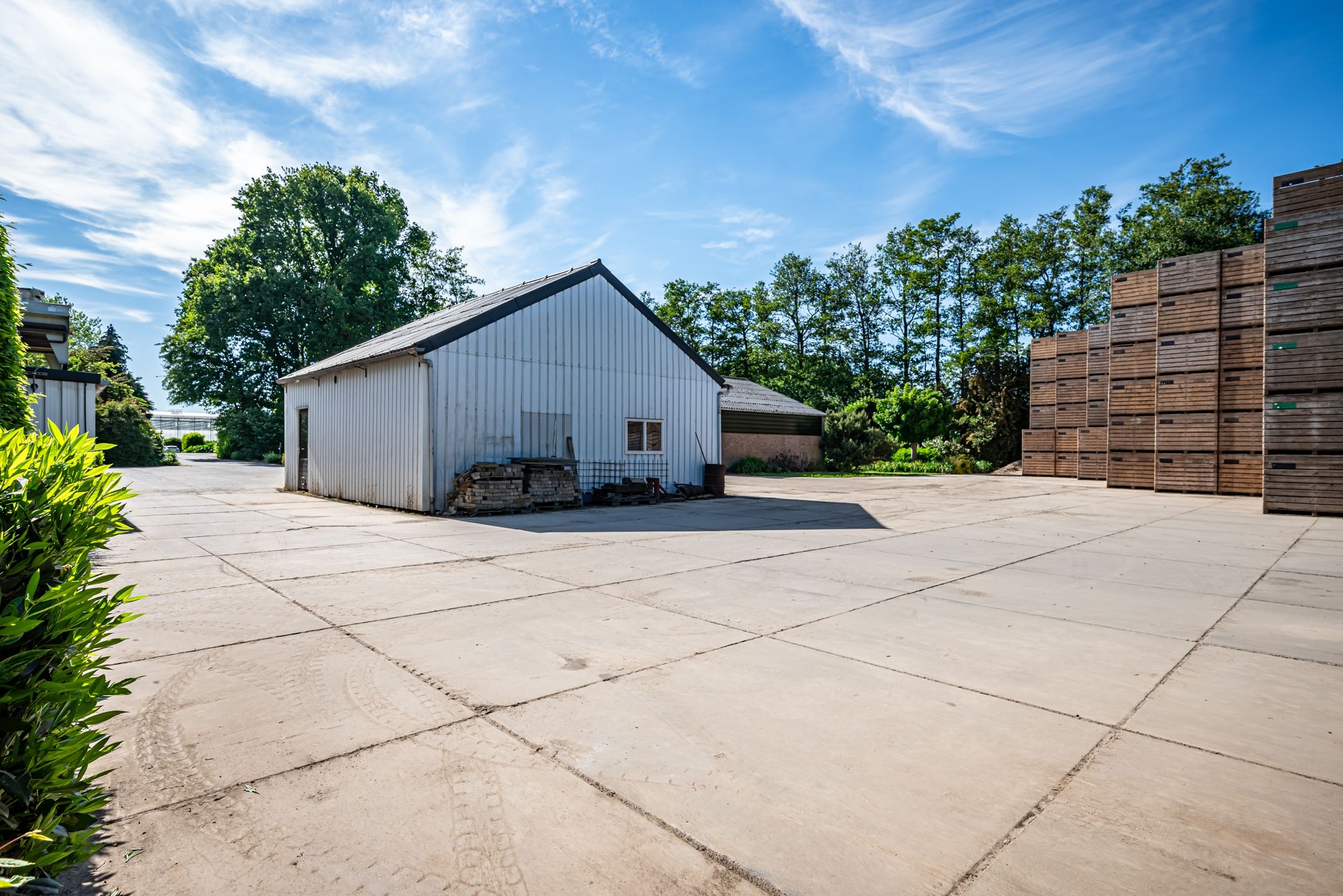 Foto 18 van Baarlosedwarsweg 2