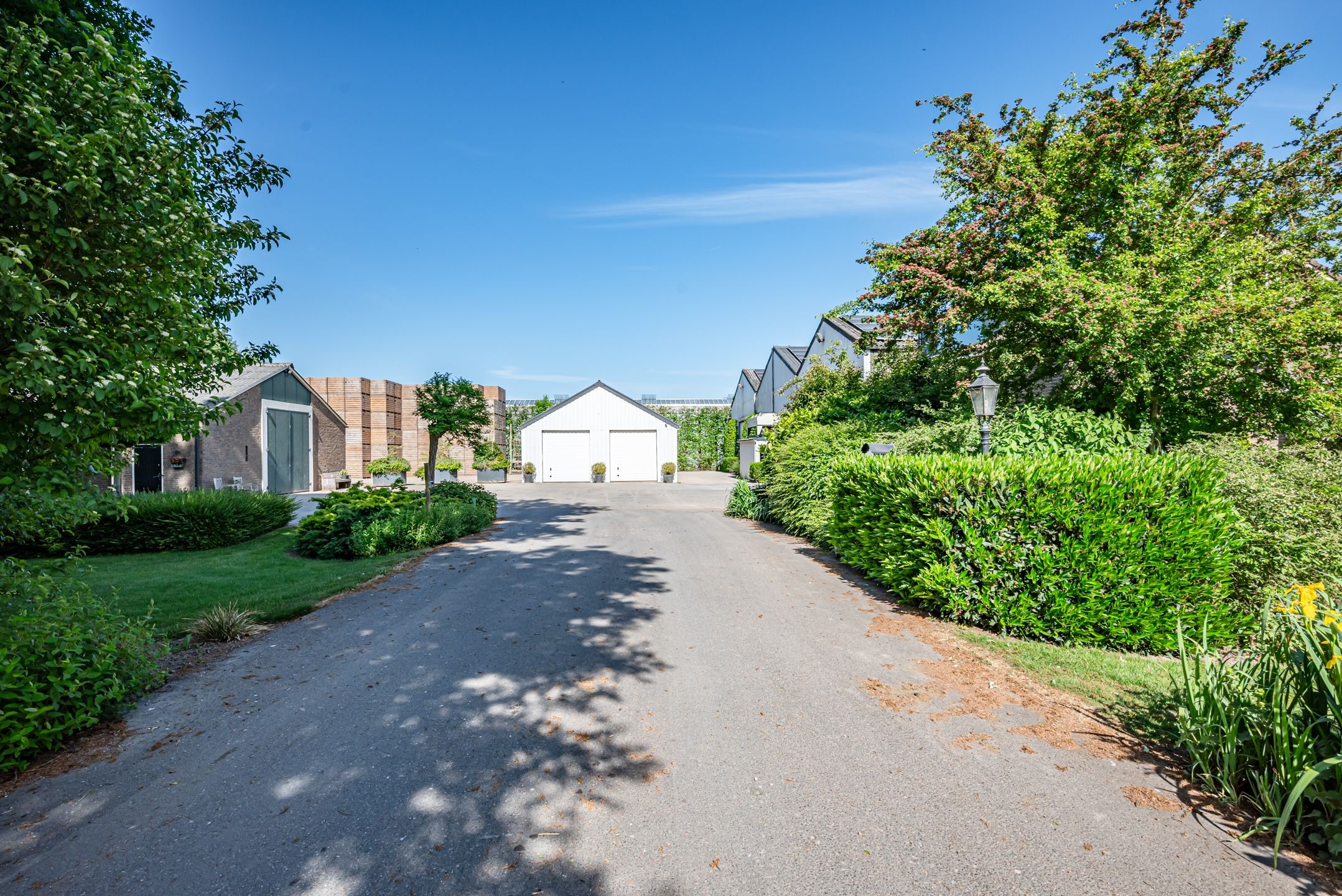 Foto 21 van Baarlosedwarsweg 2