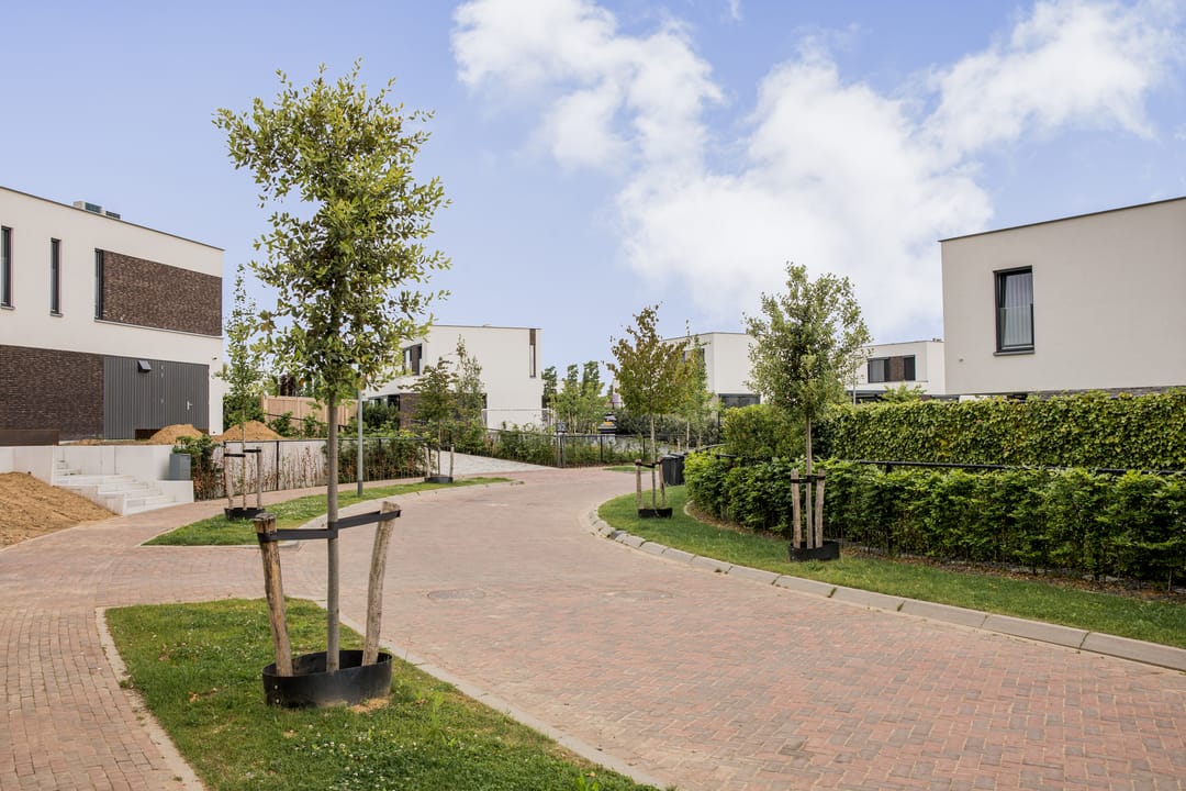 Photo 26 of Op de Meuleberg 18