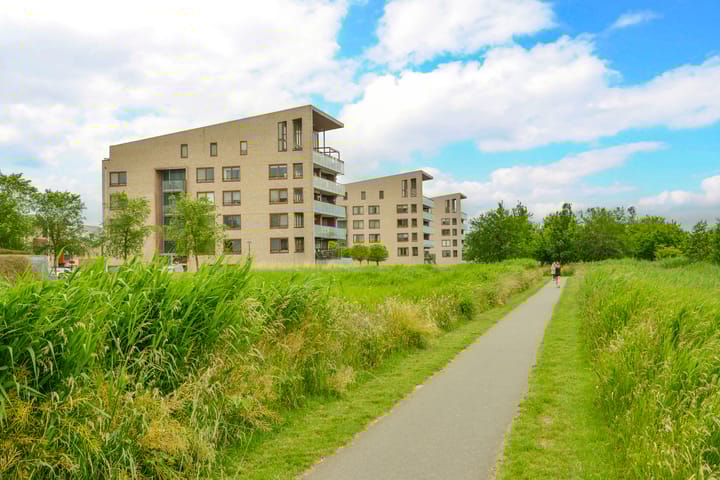 Foto 3 van Korenbloem 50