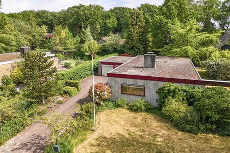 undefined main image