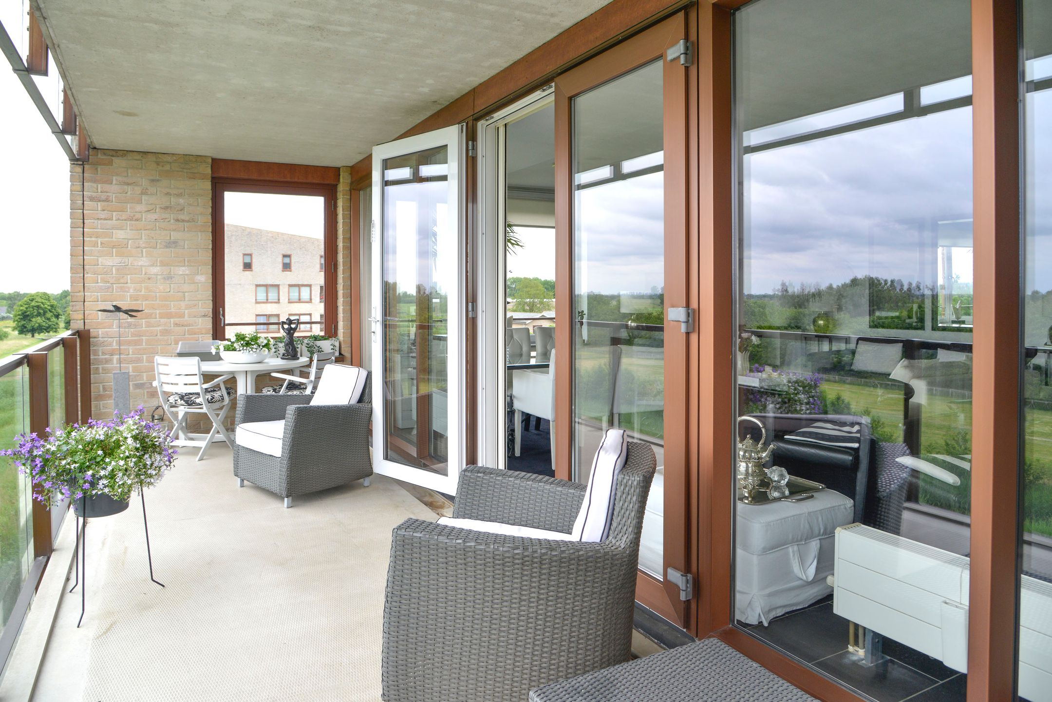 Foto 12 van Korenbloem 50