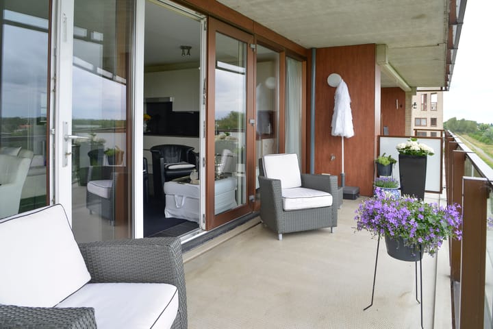 Photo 13 of Korenbloem 50