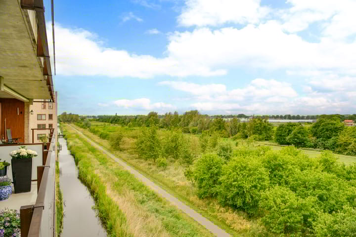 Photo 14 of Korenbloem 50