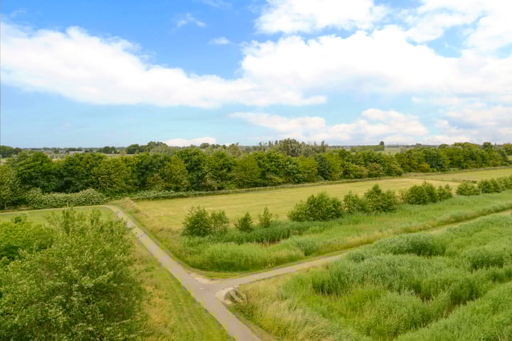 Photo 16 of Korenbloem 50