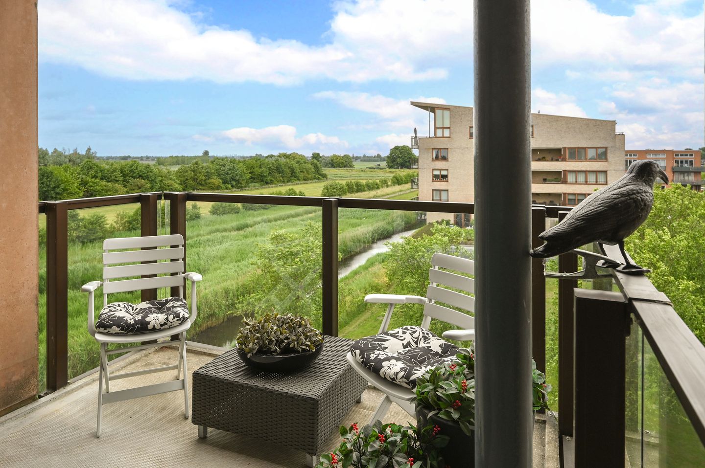 Foto 20 van Korenbloem 50