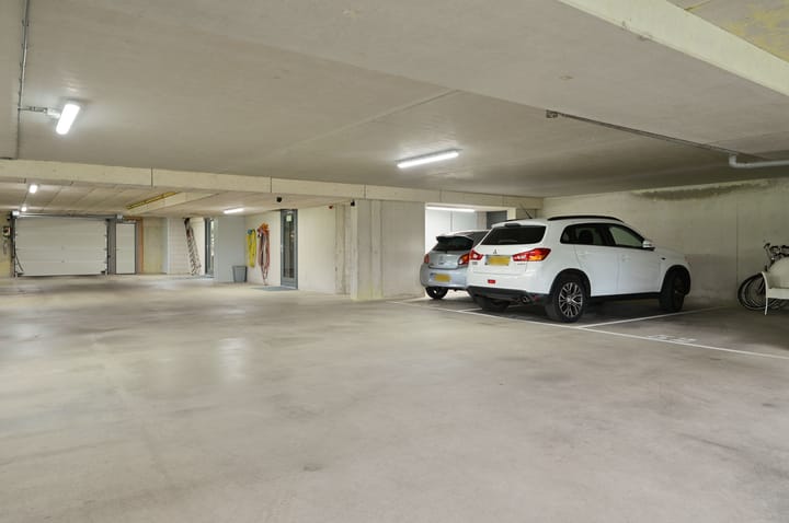 Photo 24 of Korenbloem 50