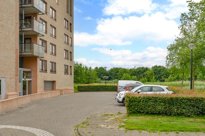 Photo 26 of Korenbloem 50