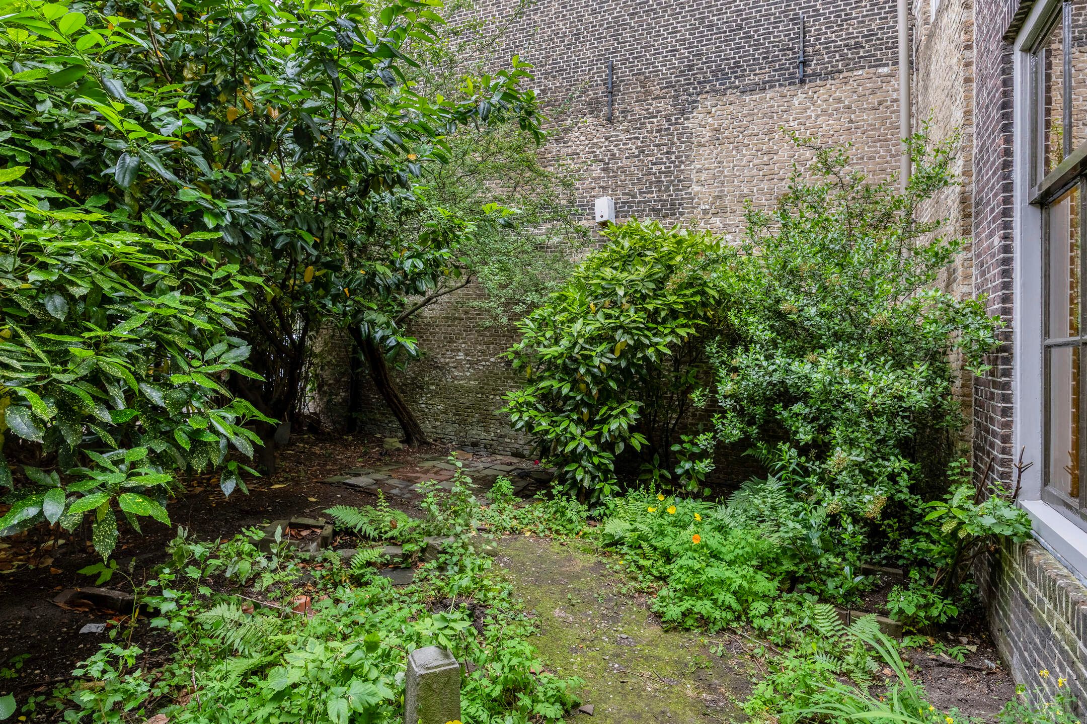 Foto 30 van Grotekerksplein 2