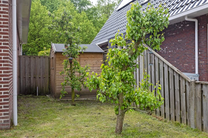 Foto 9 van Bloemenzoom 131