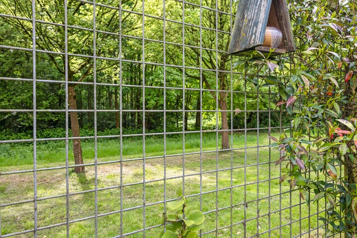 Foto 50 van Bloemenzoom 131