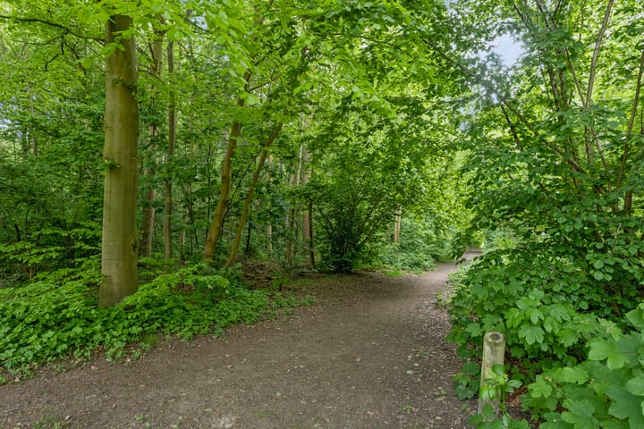 Foto 56 van Bloemenzoom 131