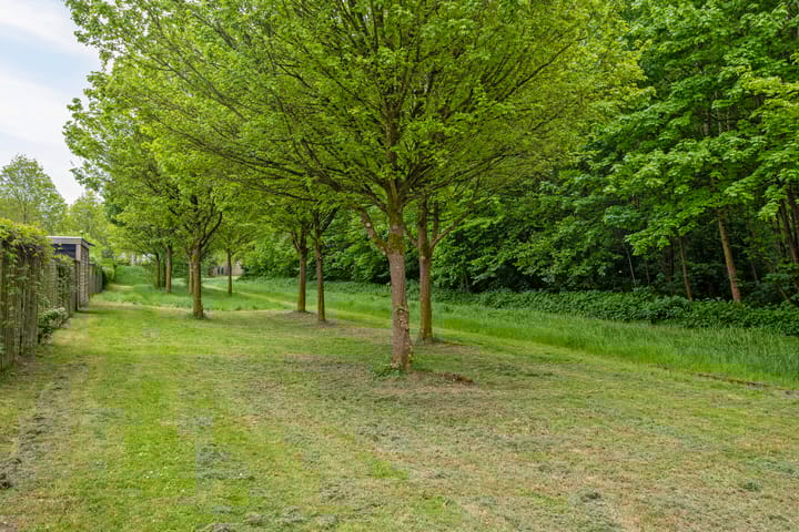 Foto 57 van Bloemenzoom 131