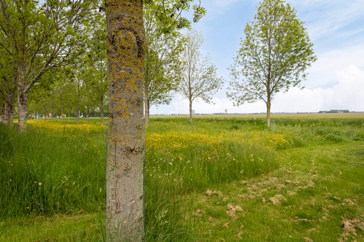 Foto 59 van Bloemenzoom 131