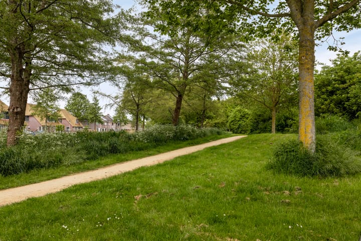 Foto 60 van Bloemenzoom 131