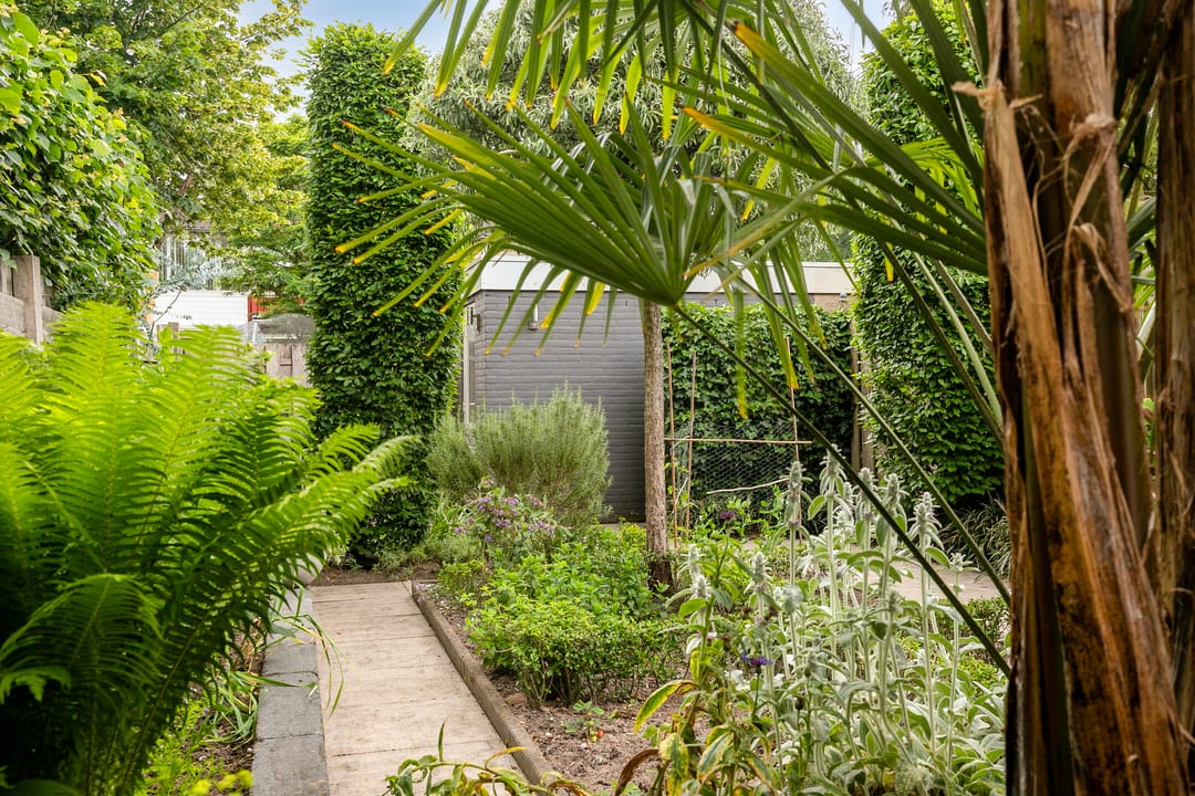 Foto 31 van Raamdijk 32