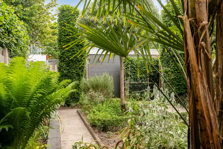 Foto 31 van Raamdijk 32