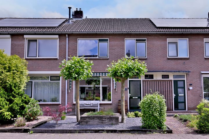 undefined main image