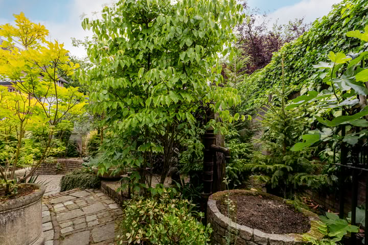 Foto 36 van Esdoornlaan 22