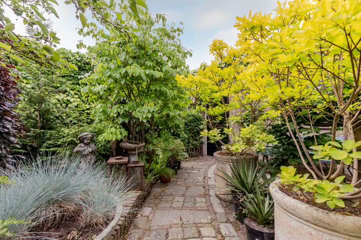 Foto 39 van Esdoornlaan 22