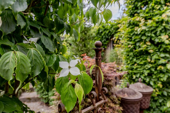 Foto 40 van Esdoornlaan 22