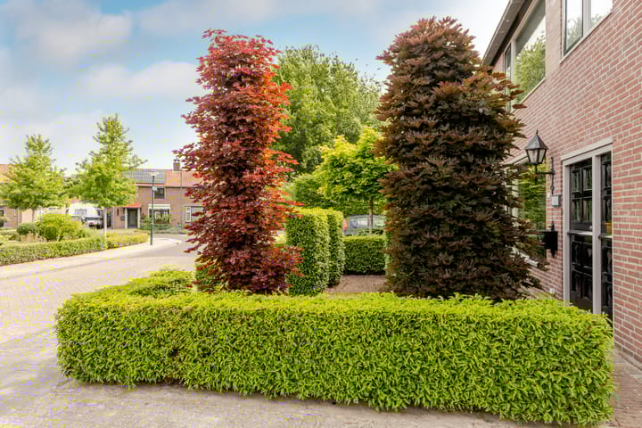 Foto 42 van Esdoornlaan 22