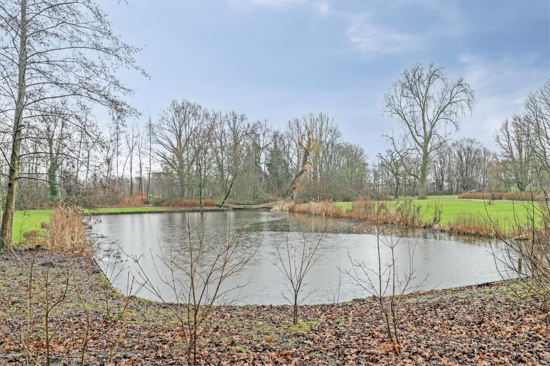 Foto 41 van Aronskelkstraat 151