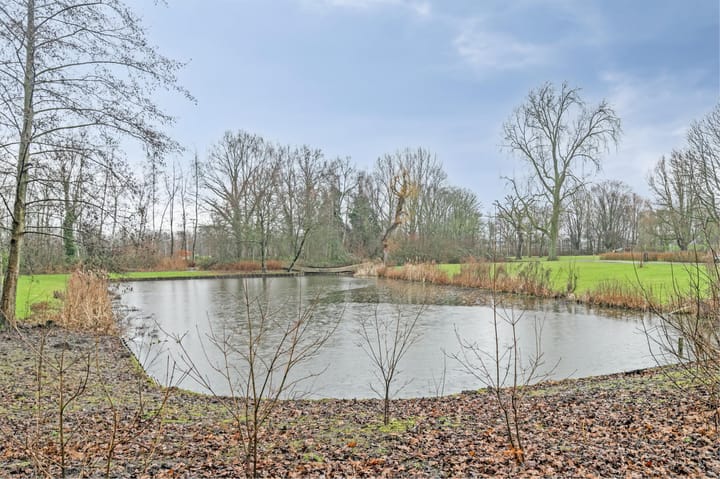 Foto 41 van Aronskelkstraat 151