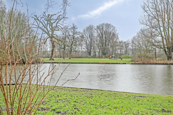 Foto 42 van Aronskelkstraat 151