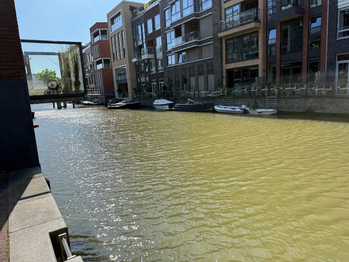 Foto 3 van Memeleiland 68