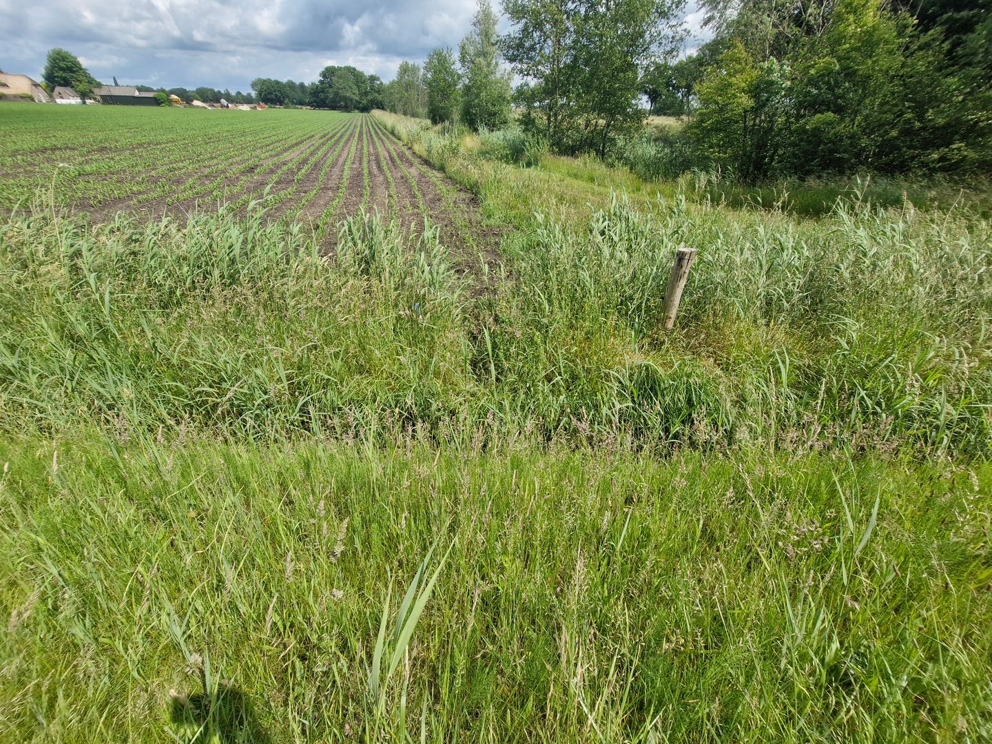 Bekijk foto 5 van Papegaaiweg