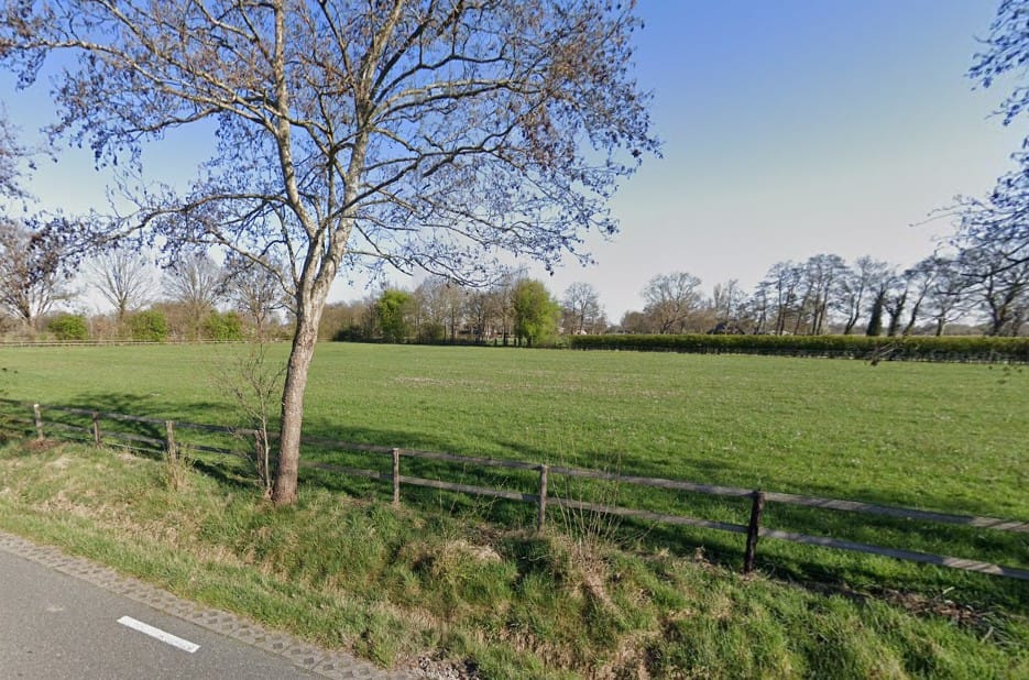 Bekijk foto 3 van Papegaaiweg